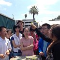 IMG_3559